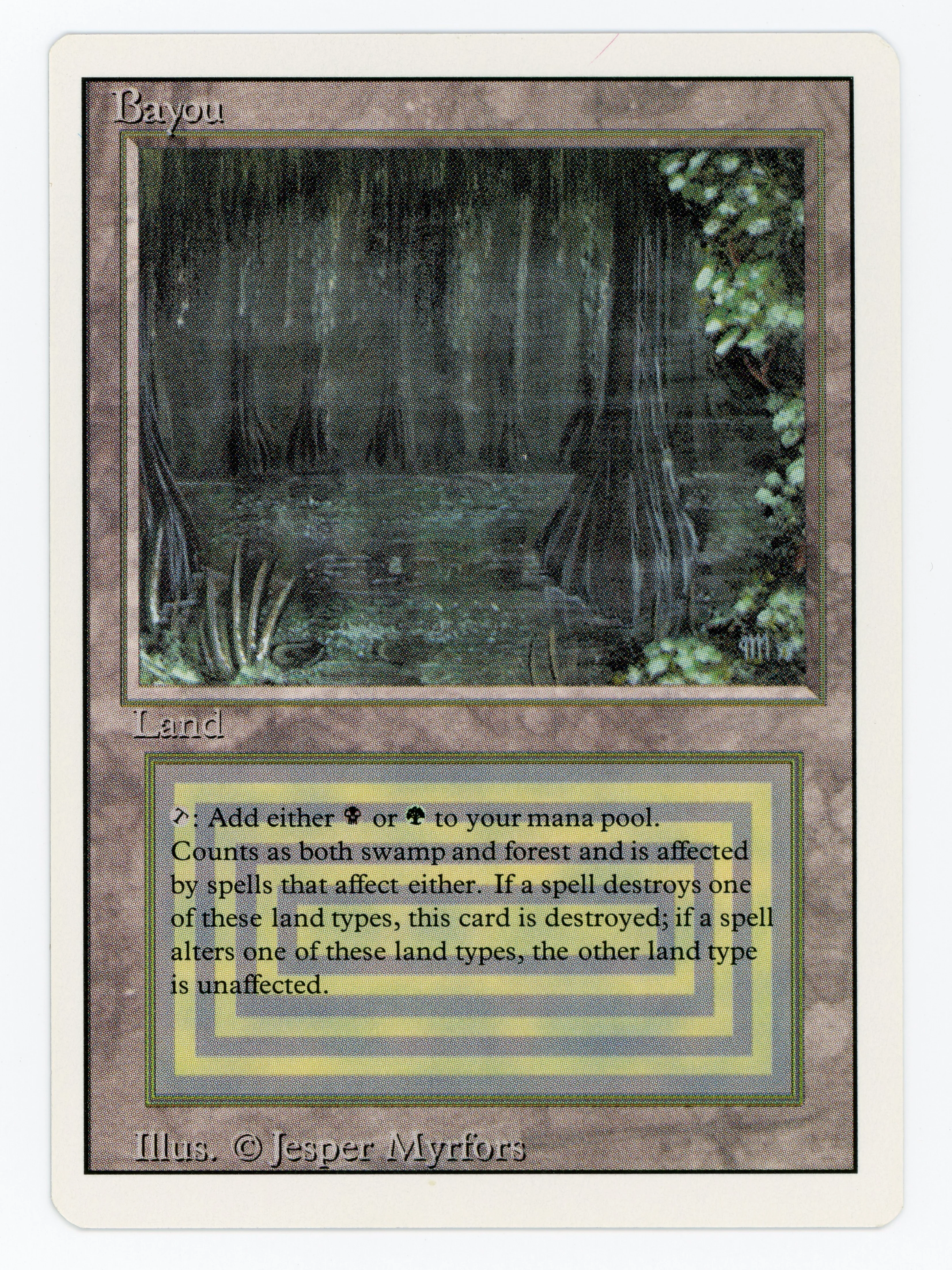 Bayou - Scan 15449