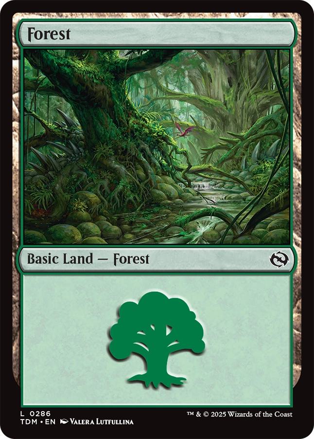 Forest [286] [Tarkir: Dragonstorm] [Non-Foil]