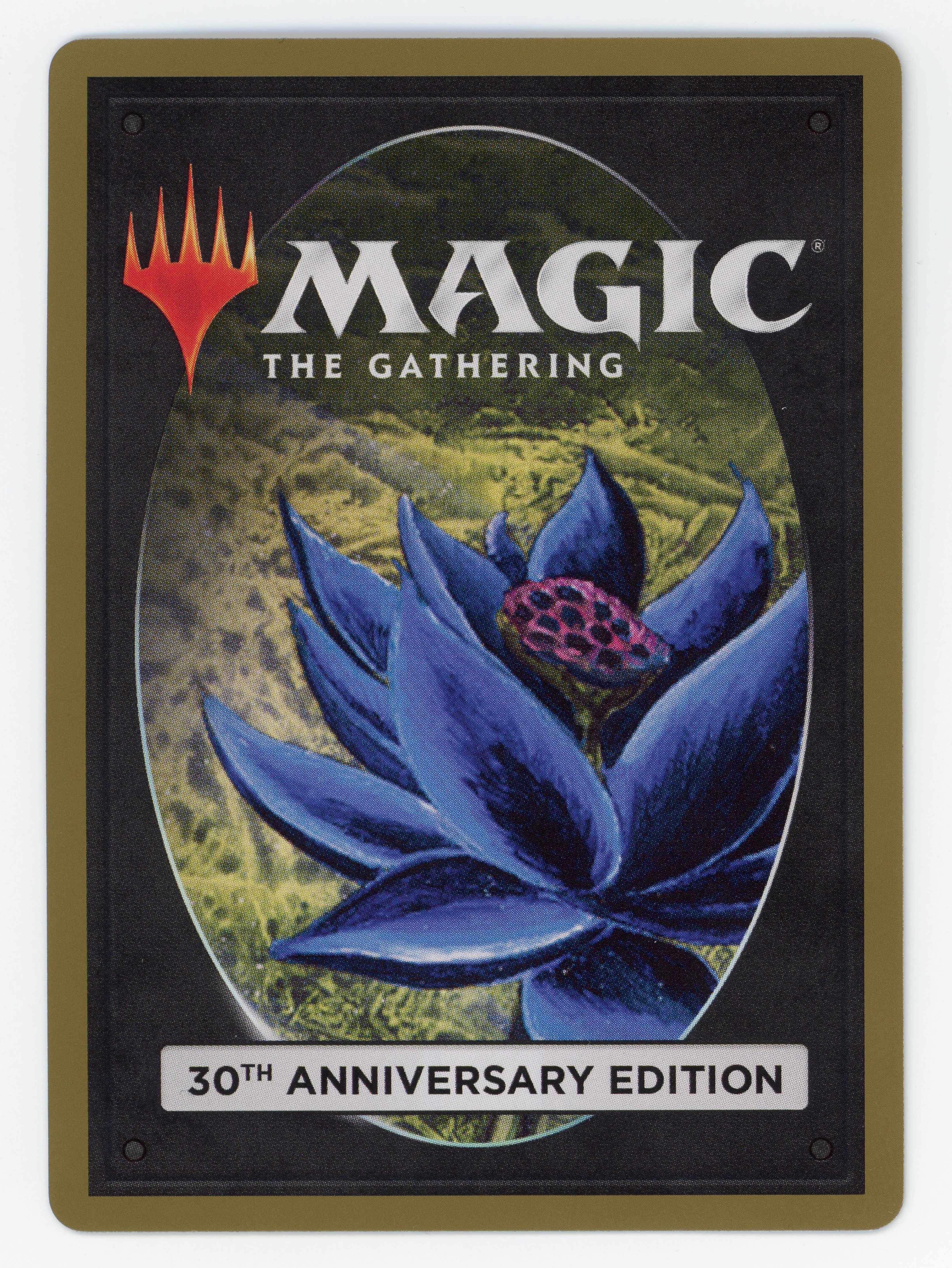 Mox Ruby - Scan 15396 - Image 2