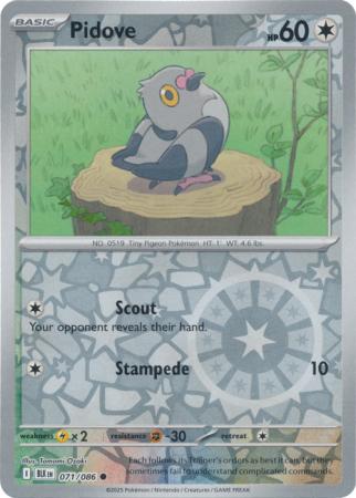 Pidove - 071/086 - Common [sv105b-071] [Reverse Holo]