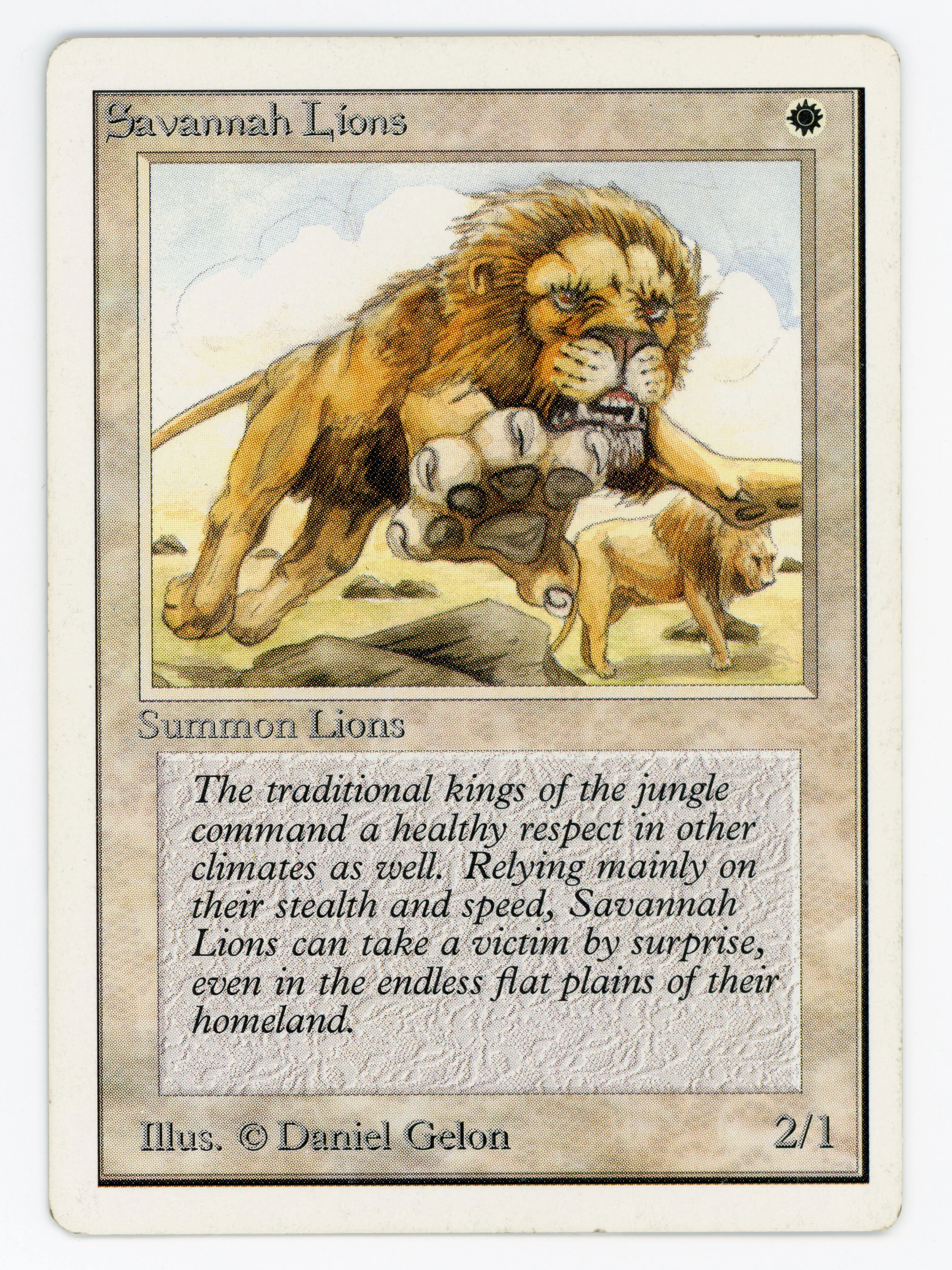 Savannah Lions - Scan 14313