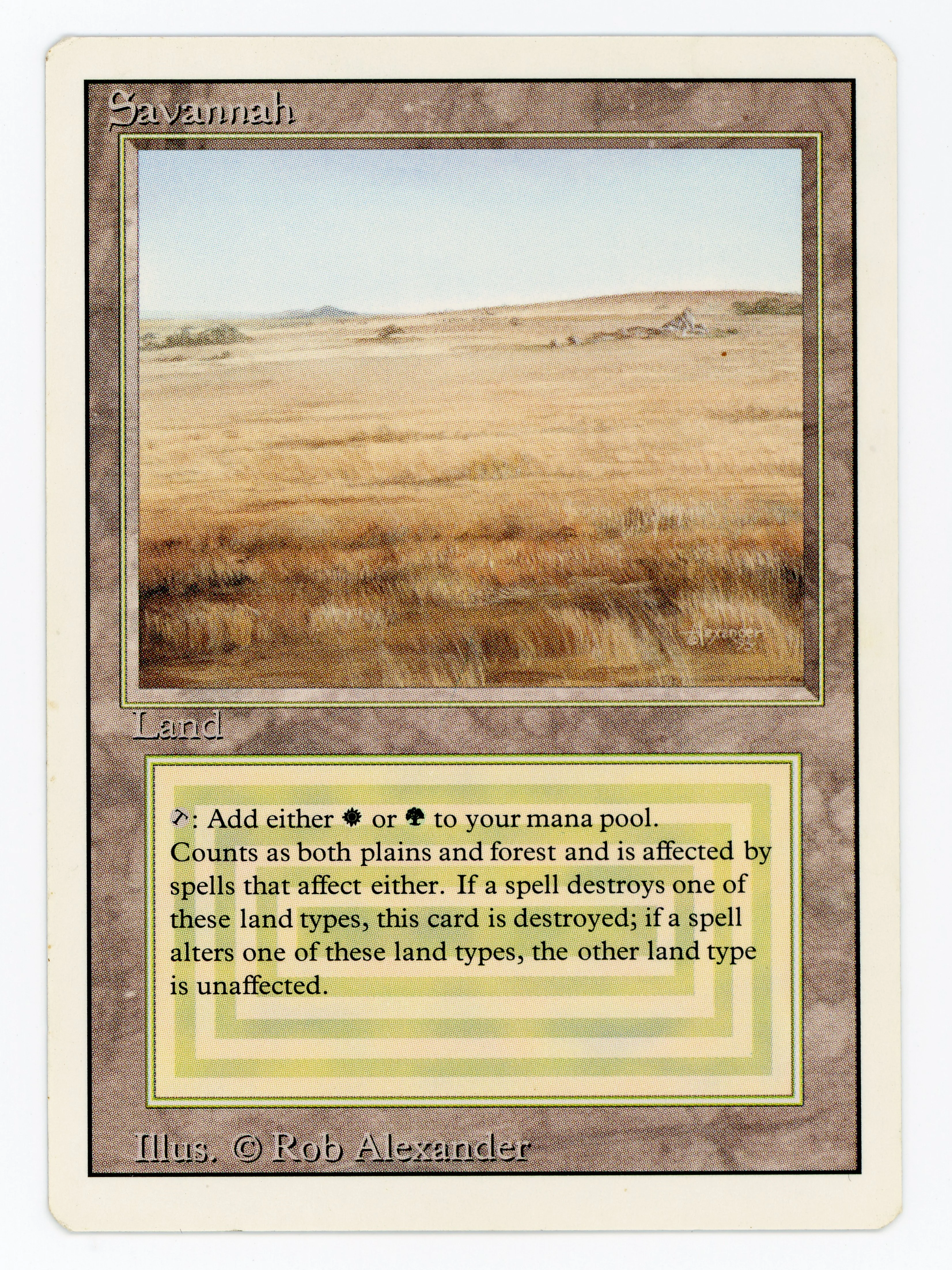 Savannah - Scan 14943