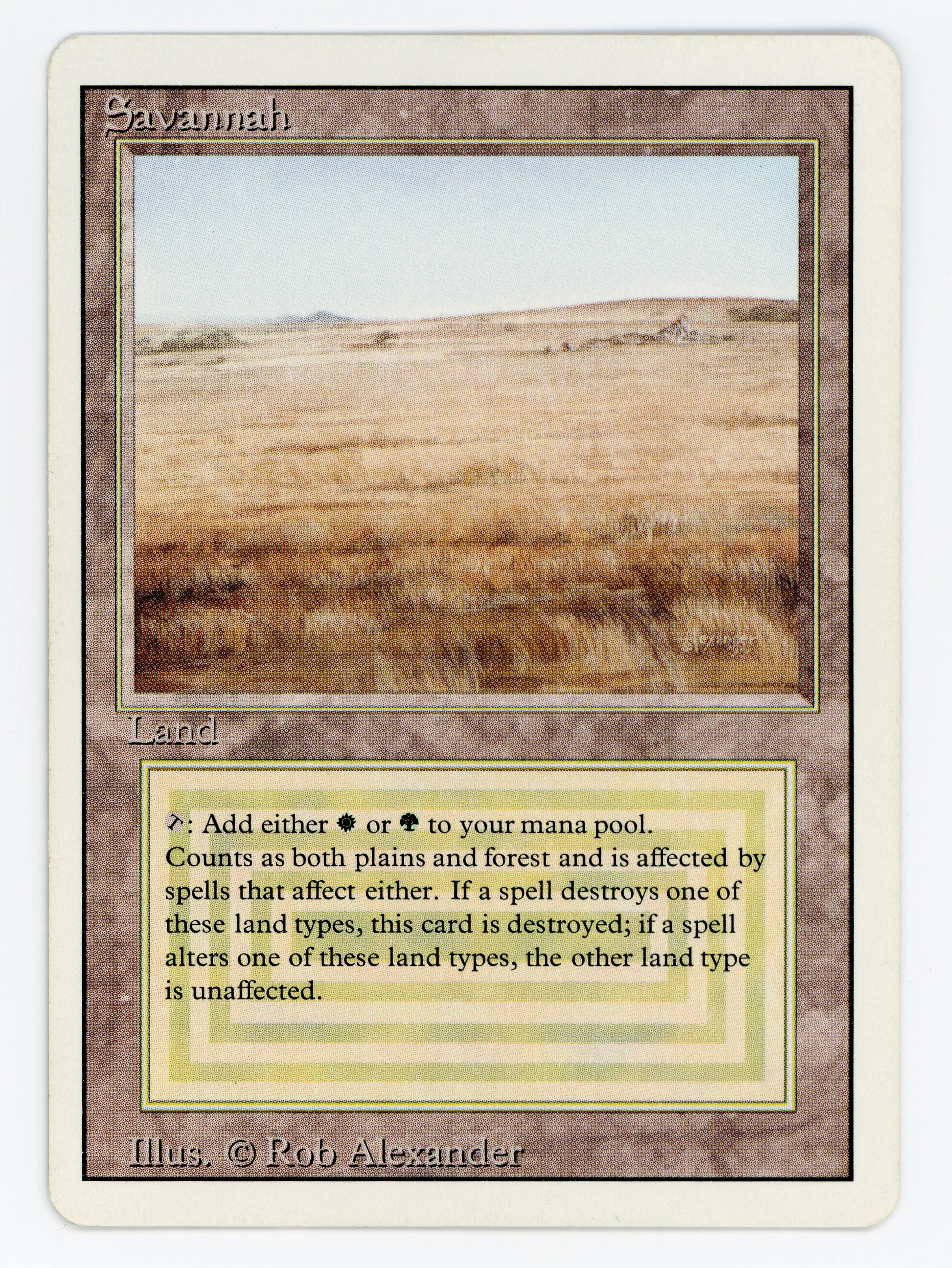 Savannah - Scan 15369
