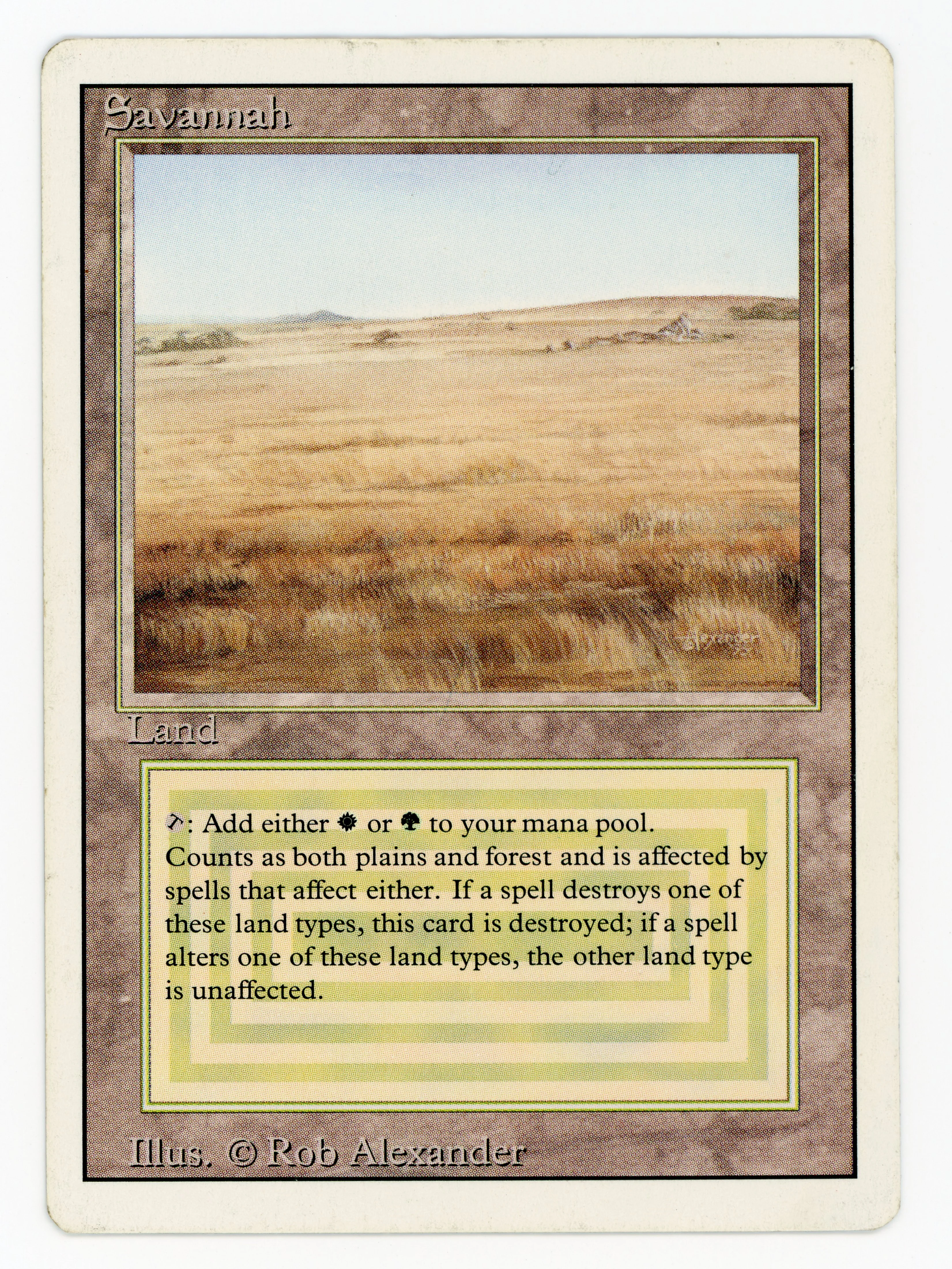Savannah - Scan 15407