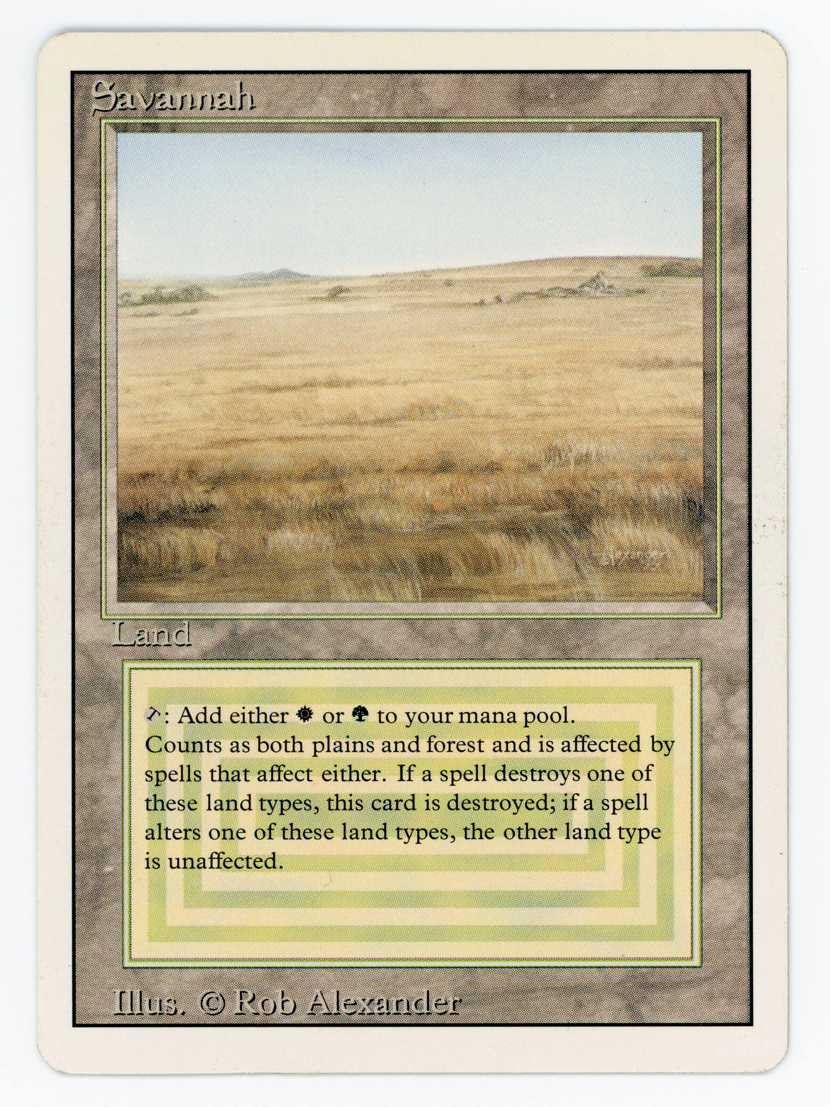Savannah - Scan 15452