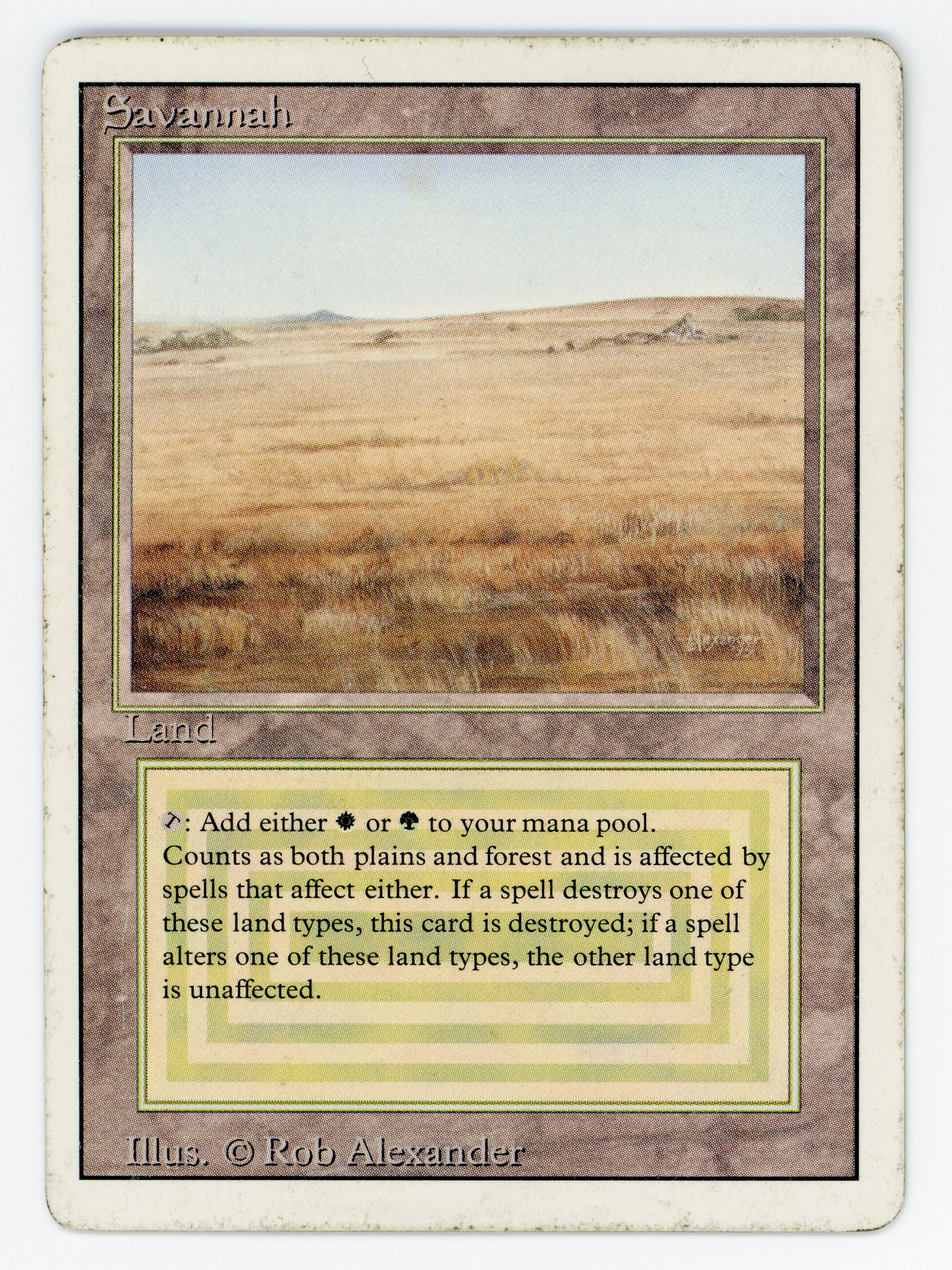Savannah - Scan 15522