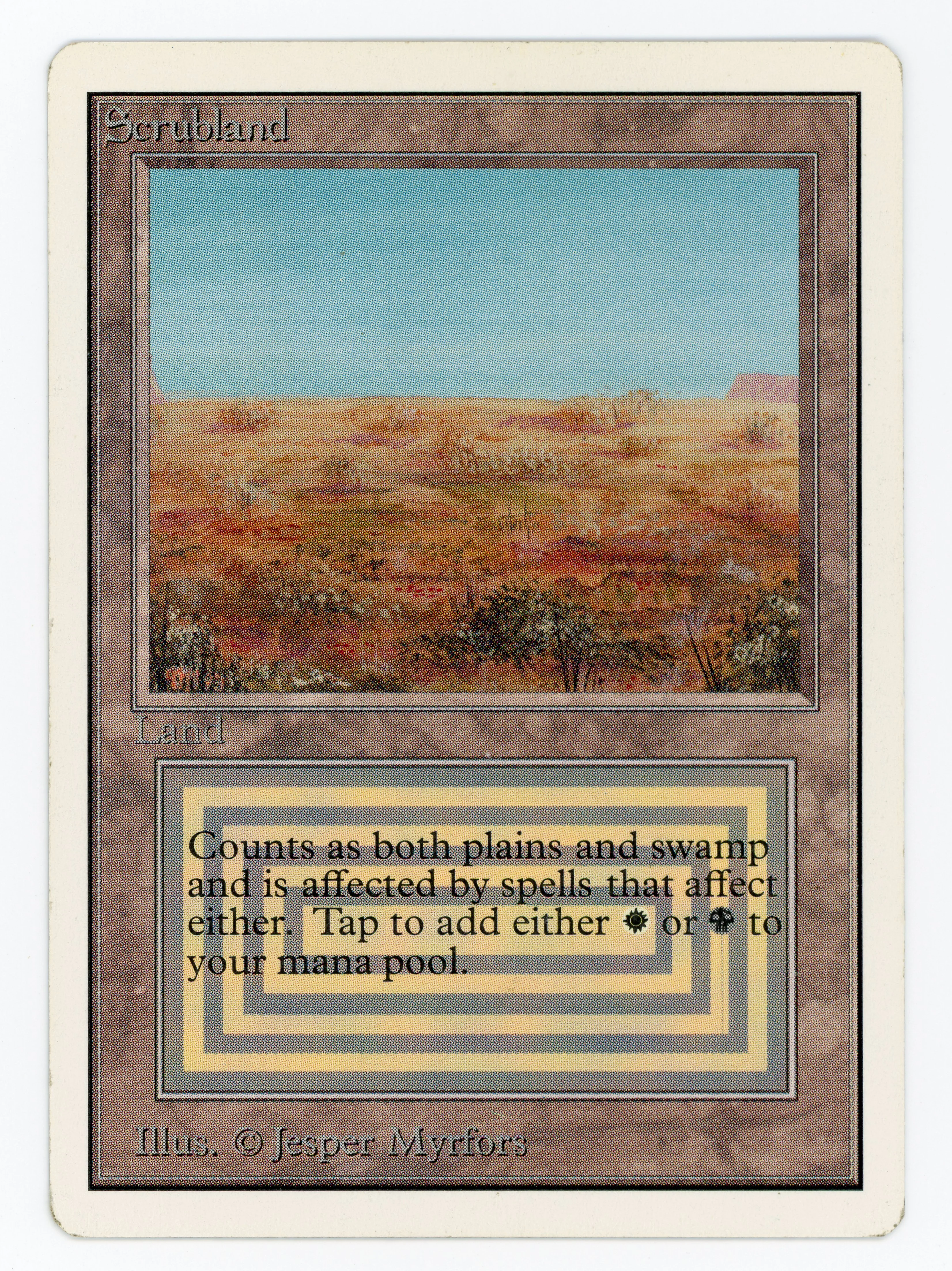 Scrubland - Scan 13540