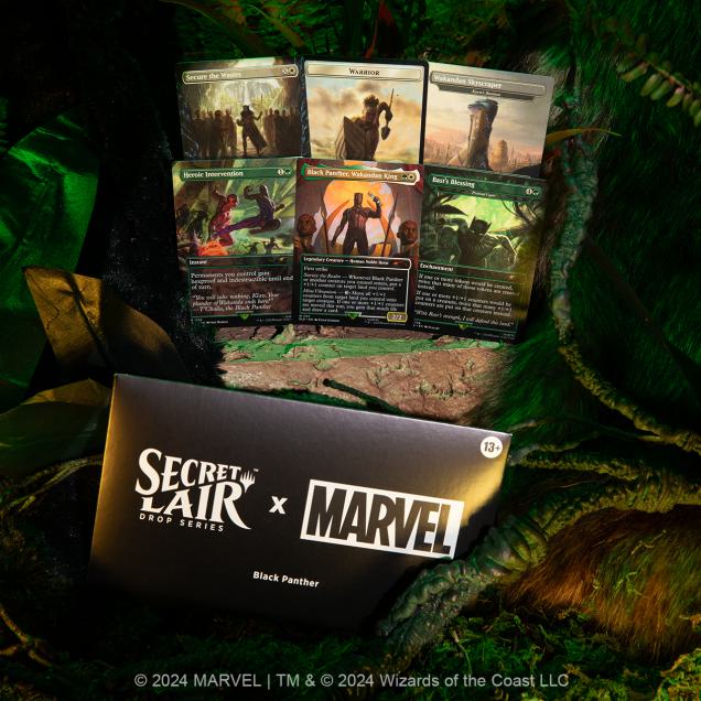 Secret Lair Drop Series - Secret Lair x Marvel's Black Panther - Image 2