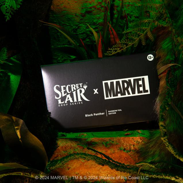 Secret Lair Drop Series - Secret Lair x Marvel's Black Panther - Foil Edition