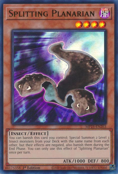 Splitting Planarian - MP25-EN263 - Ultra Rare - 1st Edition