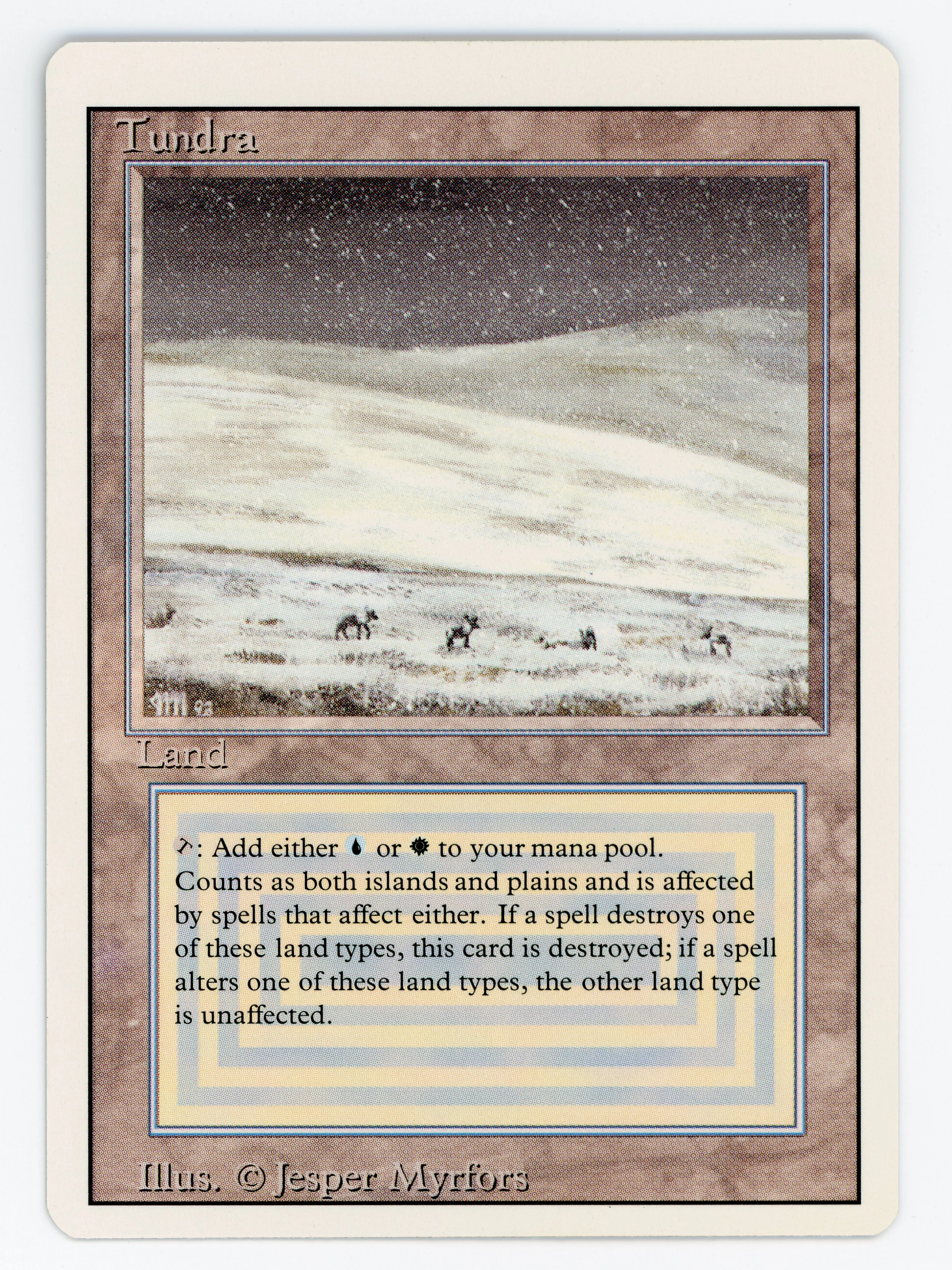 Tundra - Scan 15551