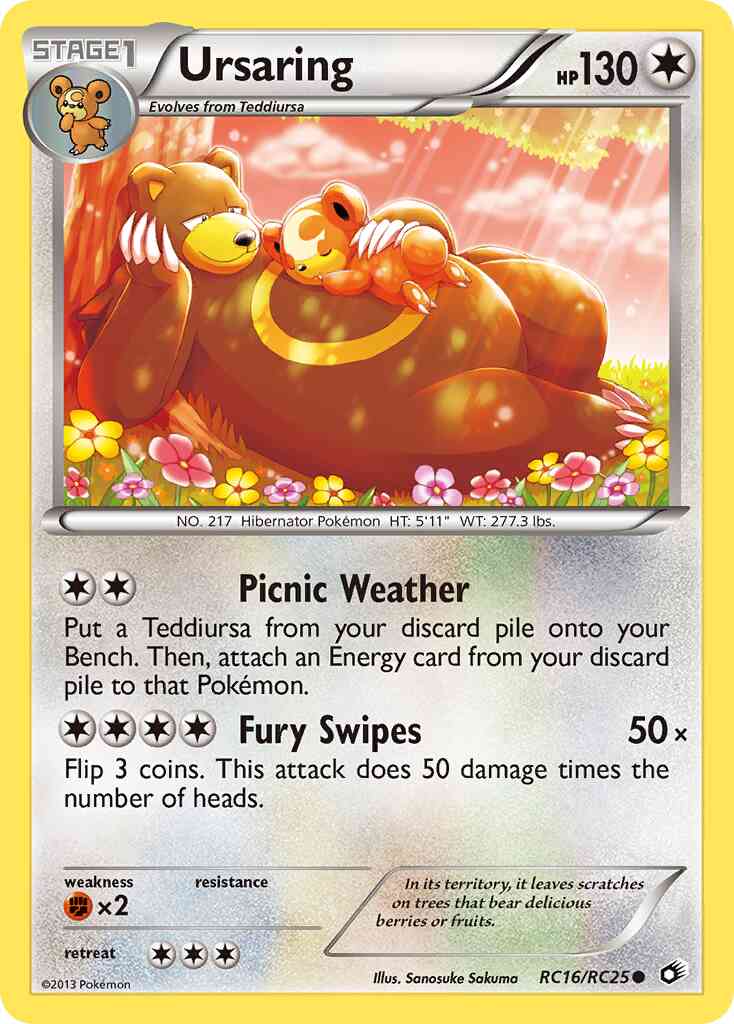Ursaring - RC16/RC25 - Common [bw11-RC16] [Holo]