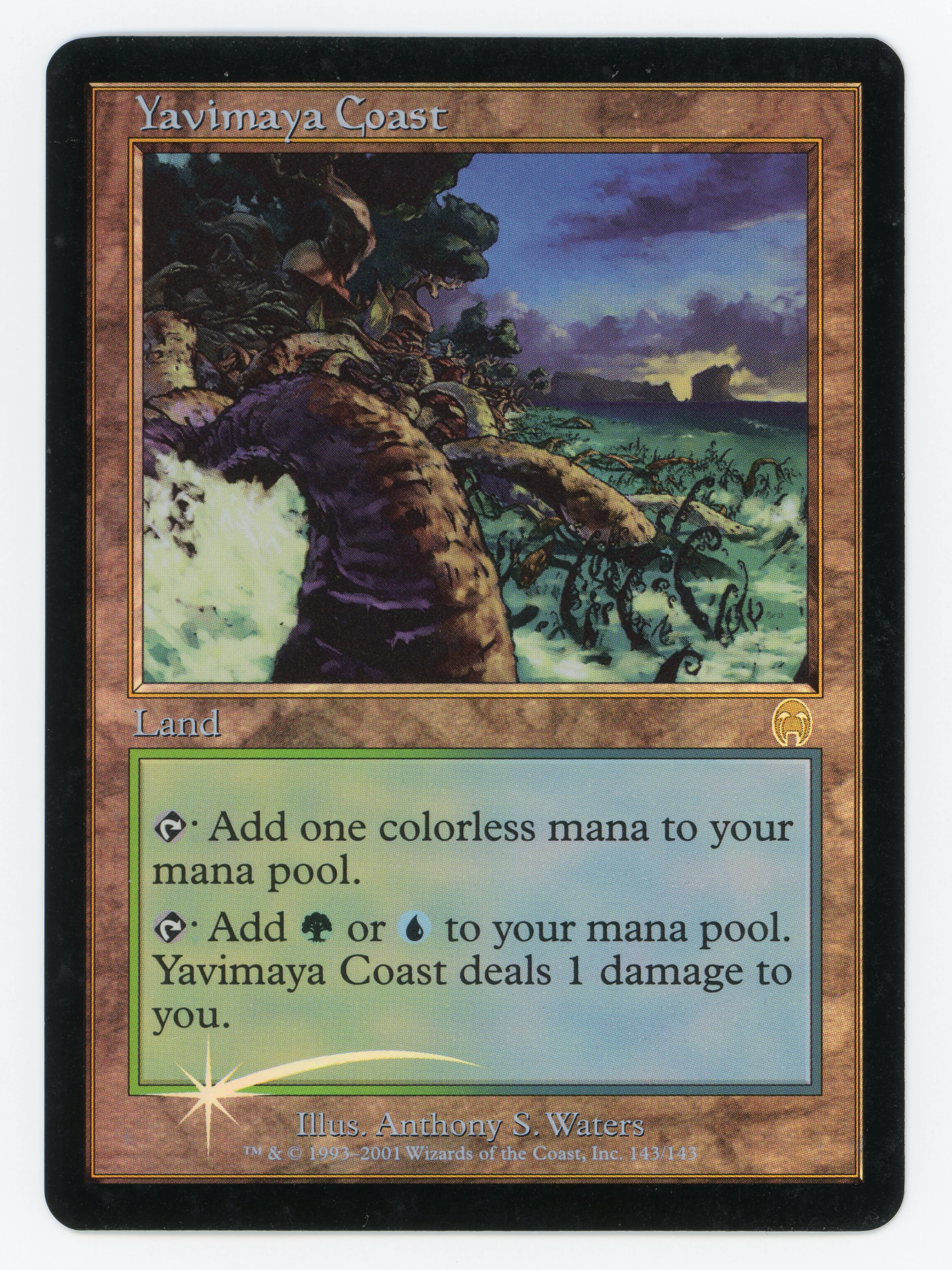 Yavimaya Coast - Foil - Scan 15424