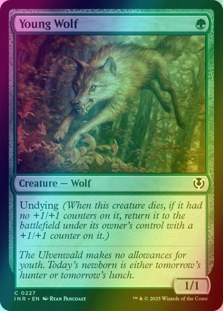 Young Wolf [227] [Innistrad Remastered] [Foil]